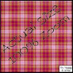 Shabby Tartan Plaids - 18 P..