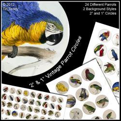 Parrot Collage Sheets - 2" and 1" Digital Images for Cupcake Toppers Jewelry and other Crafts